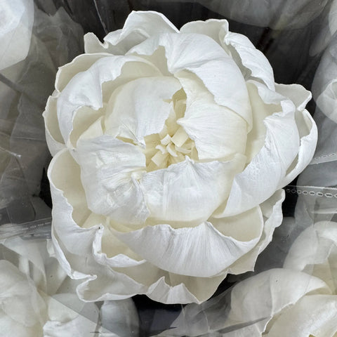 Tongcao Large Dried Peony Flower Home Decoration Preserved Artificial Red Flower Ball Arrangement Centerpieces Bunches