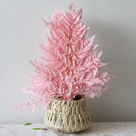 Genuine White Ferns Are Stably Preserved DIY Handicrafts Weddings Home Decorations Dried Flower Plants Mother's Day Graduation
