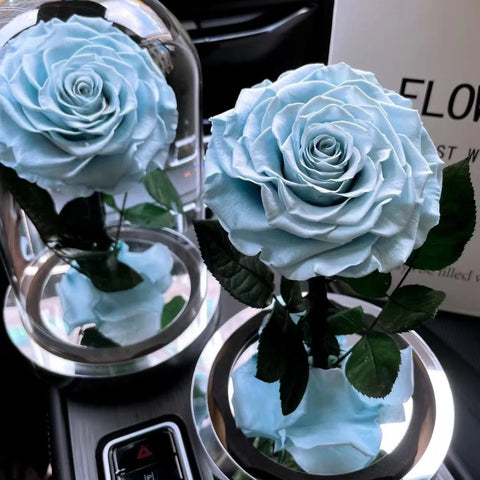 Big Flowers Artificial Large Leaf Hydrangea Preserved Dried Flowers Home Decor for Weddings Birthdays Christmas Valentine's Day
