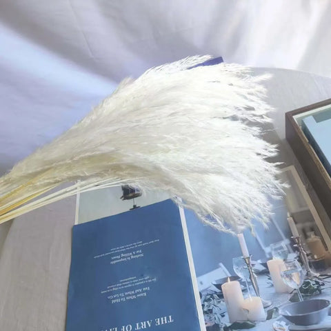 Best-Selling Bohemian Dried Pampas Reed Flowers Mother's Day Graduation Christmas Wedding Valentine's Day Home Decoration Fluffy