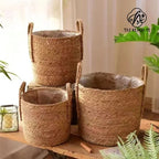 Wholesale Customize Seagrass Wicker Storage Basket Handles Square Shape Multifunctional Eco-Friendly Home Garden Use Made China