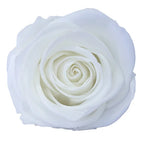Forever Roses Preserved Flower Heads 6 Pieces DIY Gift Making Materials Wedding Centerpieces Flower Decorations Items