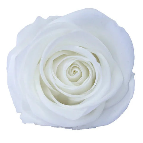 Forever Roses Preserved Flower Heads 6 Pieces DIY Gift Making Materials Wedding Centerpieces Flower Decorations Items