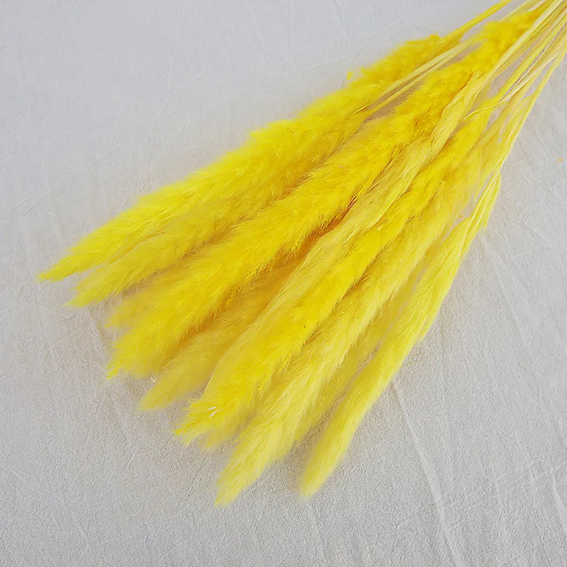 Reeds Dried Pampas Grass Artificial Flowers Bouquet Various Colors Home Boho Wedding Decoration Arrangement 3d White Flower Wall