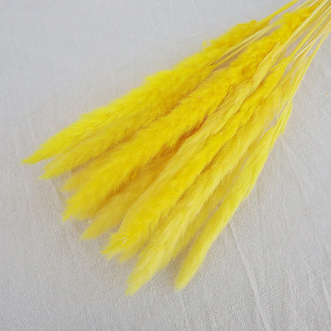 Reeds Dried Pampas Grass Artificial Flowers Bouquet Various Colors Home Boho Wedding Decoration Arrangement 3d White Flower Wall