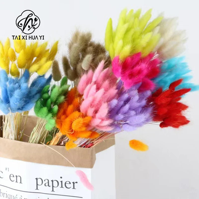 Halloween Decorative Flowers Rabbit Tail Grass & Immortal Flowers Dried Dog Tail Grass Shooting Props