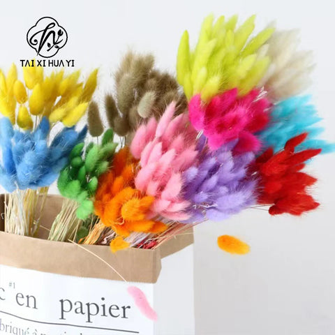 Halloween Decorative Flowers Rabbit Tail Grass & Immortal Flowers Dried Dog Tail Grass Shooting Props