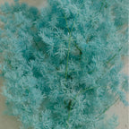 Wholesale DIY Preserved Pine Materials Cedar Preserved Flowers & Plants for Floral Ornaments Decoration Dried Flowers & Plants