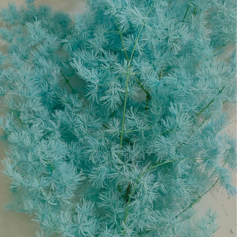Wholesale DIY Preserved Pine Materials Cedar Preserved Flowers & Plants for Floral Ornaments Decoration Dried Flowers & Plants