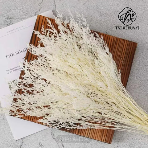 White Preserved Dried for Grass Home Decor Yunnan Factory Wholesale Bleached Light Color Wedding Christmas Day Mother's Day