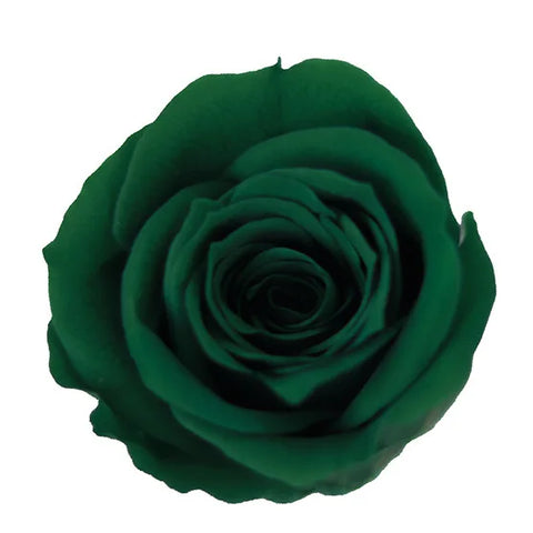 Forever Roses Preserved Flower Heads 6 Pieces DIY Gift Making Materials Wedding Centerpieces Flower Decorations Items