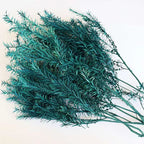Wholesale Preserved Artificial Dried Flowers Garland 60cm for Graduation Wedding Christmas Halloween Valentine's Day Decorations