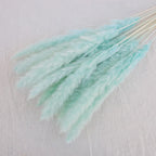 Reeds Dried Pampas Grass Artificial Flowers Bouquet Various Colors Home Boho Wedding Decoration Arrangement 3d White Flower Wall