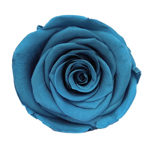 Forever Roses Preserved Flower Heads 6 Pieces DIY Gift Making Materials Wedding Centerpieces Flower Decorations Items