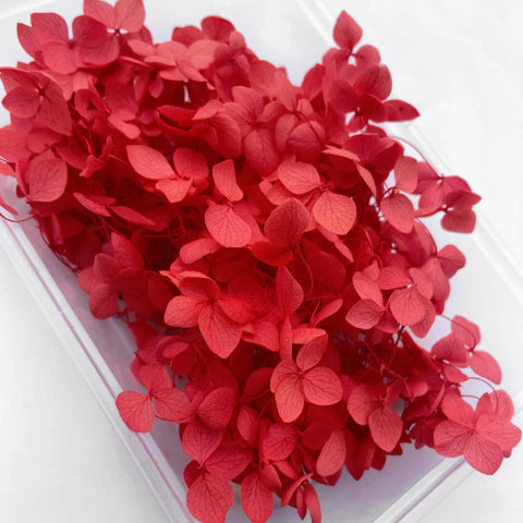Handmade Preserved Flower Fan for Wedding DIY Wreath Mini Dried Flower Bouquet Artificial Hydrangea Dry Flowers Wall Backdrop