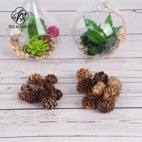 Pine Cone Dried Flower Christmas Decoration Handmade DIY Material Package Wreath Accessories Natural