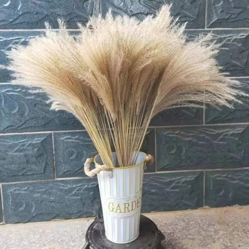Best-Selling Bohemian Dried Pampas Reed Flowers Mother's Day Graduation Christmas Wedding Valentine's Day Home Decoration Fluffy