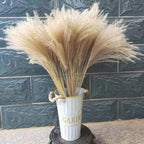 Best-Selling Bohemian Dried Pampas Reed Flowers Mother's Day Graduation Christmas Wedding Valentine's Day Home Decoration Fluffy