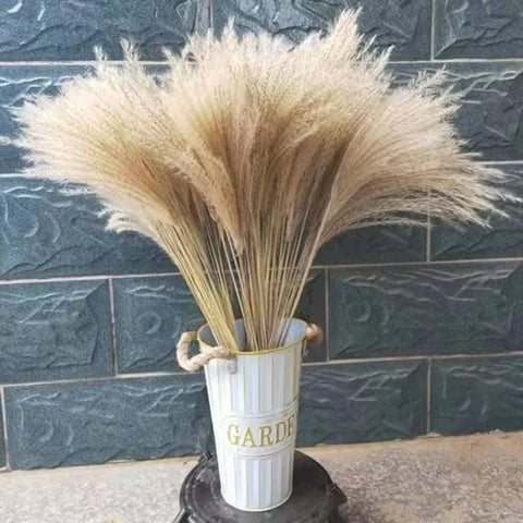 Best-Selling Bohemian Dried Pampas Reed Flowers Mother's Day Graduation Christmas Wedding Valentine's Day Home Decoration Fluffy