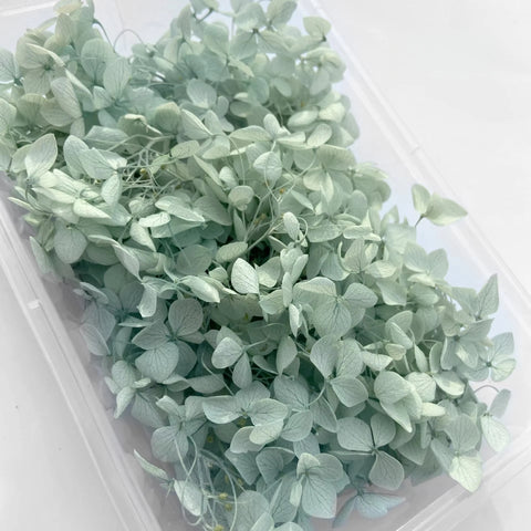 Handmade Preserved Flower Fan for Wedding DIY Wreath Mini Dried Flower Bouquet Artificial Hydrangea Dry Flowers Wall Backdrop