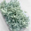 Handmade Preserved Flower Fan for Wedding DIY Wreath Mini Dried Flower Bouquet Artificial Hydrangea Dry Flowers Wall Backdrop