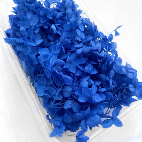 Handmade Preserved Flower Fan for Wedding DIY Wreath Mini Dried Flower Bouquet Artificial Hydrangea Dry Flowers Wall Backdrop
