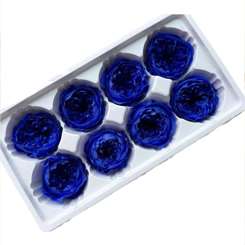 Grade Austin Rose Flower Head 4-5cm Preserved Real Flower 8-Pack Photography Props Wedding Mother's Day Christmas Gift Box