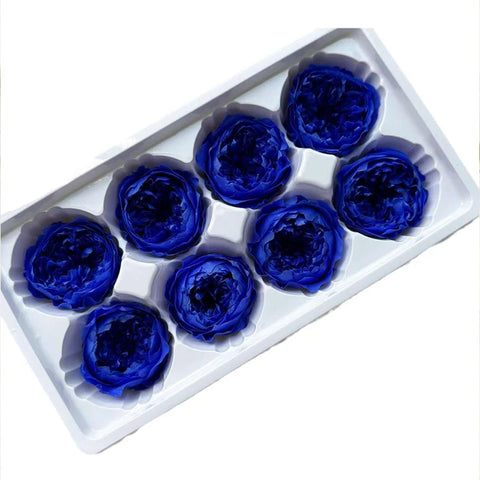 Grade Austin Rose Flower Head 4-5cm Preserved Real Flower 8-Pack Photography Props Wedding Mother's Day Christmas Gift Box
