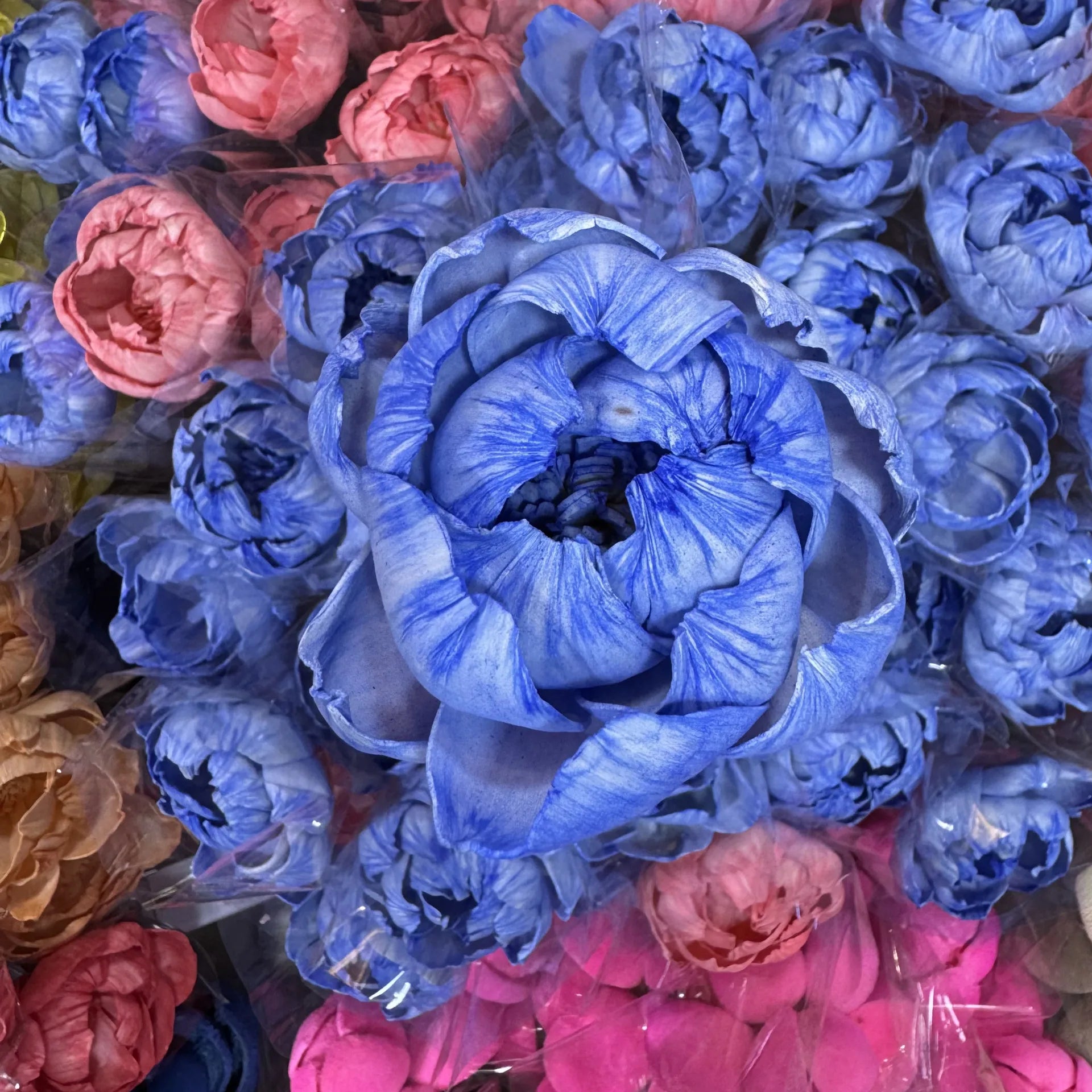 Tongcao Large Dried Peony Flower Home Decoration Preserved Artificial Red Flower Ball Arrangement Centerpieces Bunches
