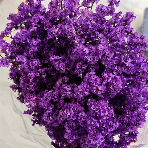 Preserved Crystal Grass Baby's Breath Dried Flowers for Home Arrangement & Wedding DIY Bouquet Baby Breath Flower Artificial