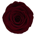Forever Roses Preserved Flower Heads 6 Pieces DIY Gift Making Materials Wedding Centerpieces Flower Decorations Items
