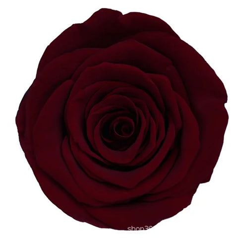 Forever Roses Preserved Flower Heads 6 Pieces DIY Gift Making Materials Wedding Centerpieces Flower Decorations Items