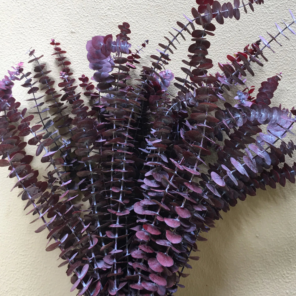 A-grade Preserved Eucalyptus Leaf Dried Flowers Immortal Bouquet Decorative Copper Coin Leaves for Graduation Valentine's Day