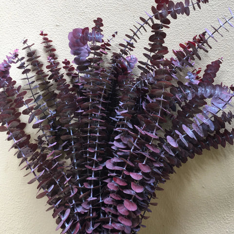 A-grade Preserved Eucalyptus Leaf Dried Flowers Immortal Bouquet Decorative Copper Coin Leaves for Graduation Valentine's Day