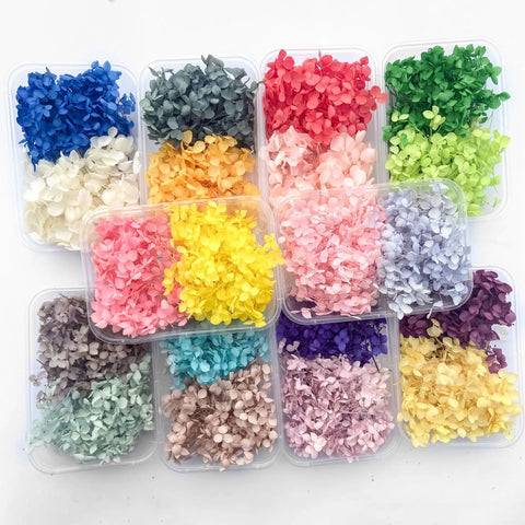 Handmade Preserved Flower Fan for Wedding DIY Wreath Mini Dried Flower Bouquet Artificial Hydrangea Dry Flowers Wall Backdrop