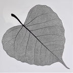 2025 New Flower Wrapping Stretch Film 72x33cm Leaf Shape Translucent Waterproof Florist Supplies