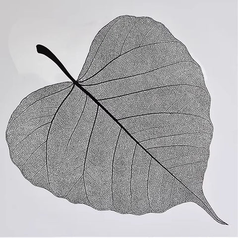 2025 New Flower Wrapping Stretch Film 72x33cm Leaf Shape Translucent Waterproof Florist Supplies