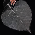 2025 New Flower Wrapping Stretch Film 72x33cm Leaf Shape Translucent Waterproof Florist Supplies