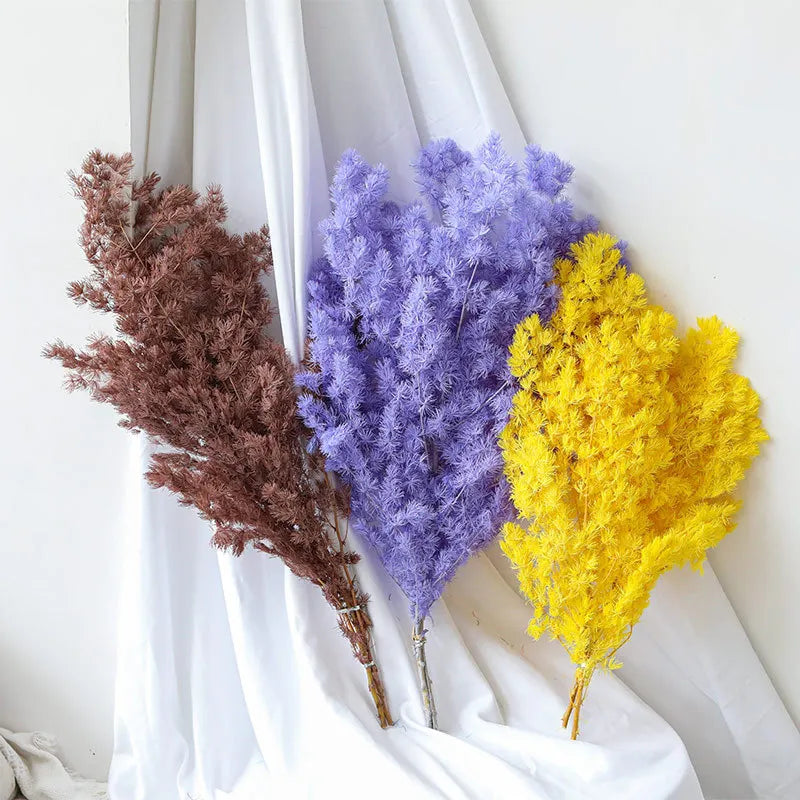 Wholesale DIY Preserved Pine Materials Cedar Preserved Flowers & Plants for Floral Ornaments Decoration Dried Flowers & Plants