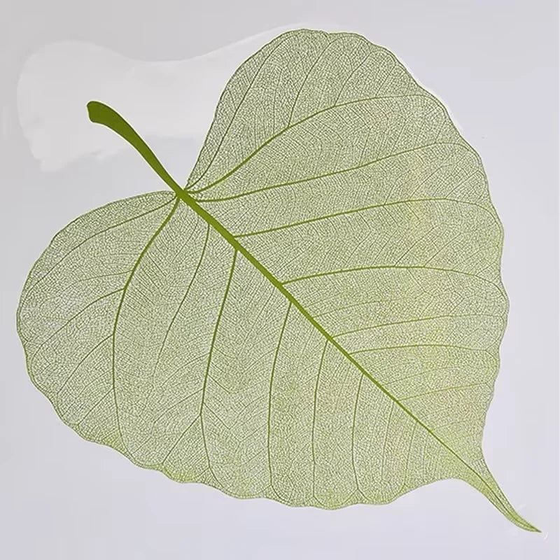 2025 New Flower Wrapping Stretch Film 72x33cm Leaf Shape Translucent Waterproof Florist Supplies