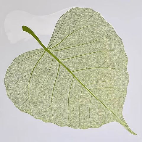 2025 New Flower Wrapping Stretch Film 72x33cm Leaf Shape Translucent Waterproof Florist Supplies