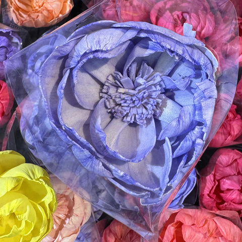 Tongcao Large Dried Peony Flower Home Decoration Preserved Artificial Red Flower Ball Arrangement Centerpieces Bunches