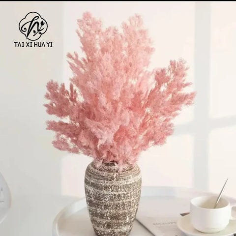 Wholesale DIY Preserved Pine Materials Cedar Preserved Flowers & Plants for Floral Ornaments Decoration Dried Flowers & Plants