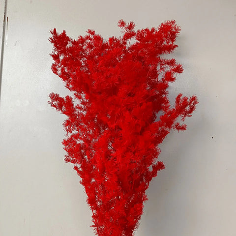 Wholesale DIY Preserved Pine Materials Cedar Preserved Flowers & Plants for Floral Ornaments Decoration Dried Flowers & Plants