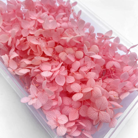 Handmade Preserved Flower Fan for Wedding DIY Wreath Mini Dried Flower Bouquet Artificial Hydrangea Dry Flowers Wall Backdrop