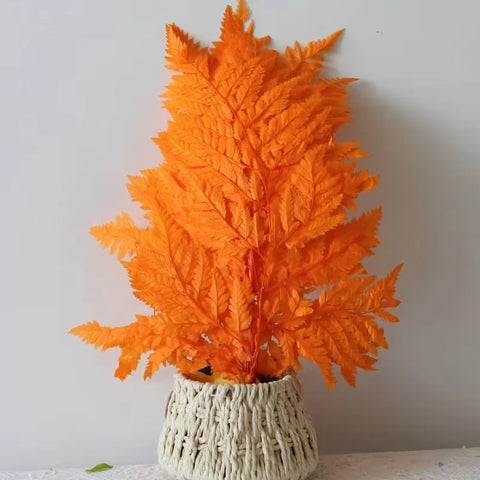 Genuine White Ferns Are Stably Preserved DIY Handicrafts Weddings Home Decorations Dried Flower Plants Mother's Day Graduation