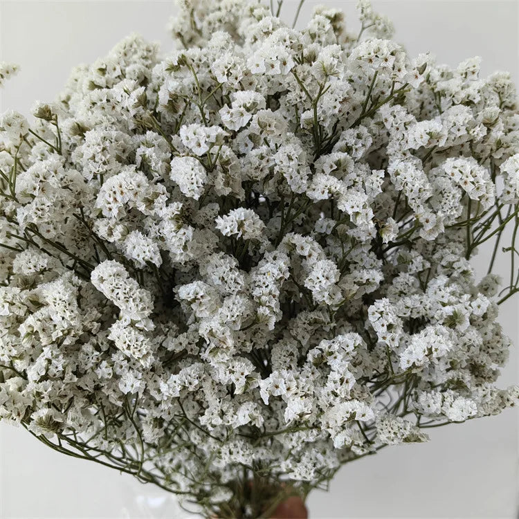 Preserved Crystal Grass Baby's Breath Dried Flowers for Home Arrangement & Wedding DIY Bouquet Baby Breath Flower Artificial