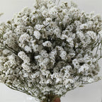 Preserved Crystal Grass Baby's Breath Dried Flowers for Home Arrangement & Wedding DIY Bouquet Baby Breath Flower Artificial