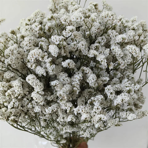 Preserved Crystal Grass Baby's Breath Dried Flowers for Home Arrangement & Wedding DIY Bouquet Baby Breath Flower Artificial