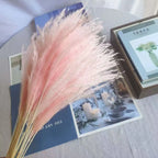 Best-Selling Bohemian Dried Pampas Reed Flowers Mother's Day Graduation Christmas Wedding Valentine's Day Home Decoration Fluffy
